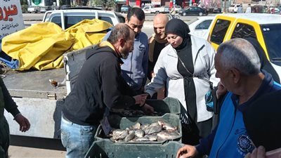 محافظ الدقهلية: بيع الأسماك بأسعار تبدأ من 40 جنيها بأسواق اليوم الواحد