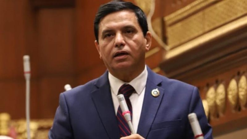 النائب اللواء طارق