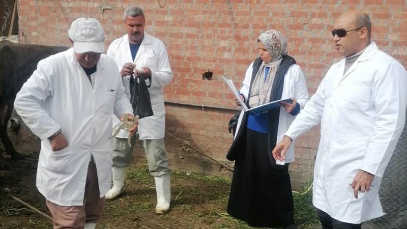 جانب من الحملة القومية