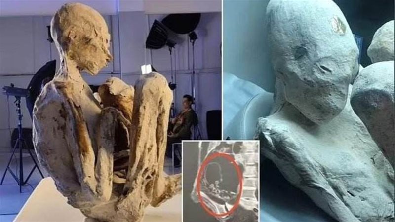 المومياوات الغريبة