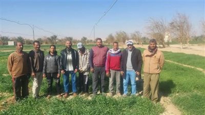 مديرية الزراعة تواصل جهودها لمكافحة الآفات وتحسين الإنتاجية بالوادي الجديد 