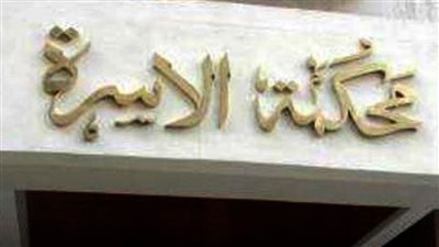 عبير في دعوى خلع: بيتنمر عليا ويقولي إنتي شبه جعفر العمدة