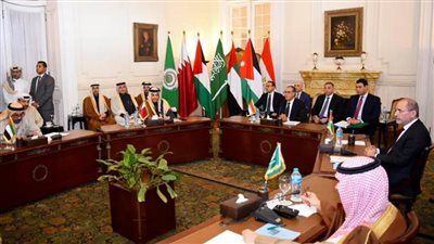 5 وزراء خارجية عرب يؤكدون لنظيرهم الأمريكي رفض مخطط تهجير الفلسطينيين من غزة