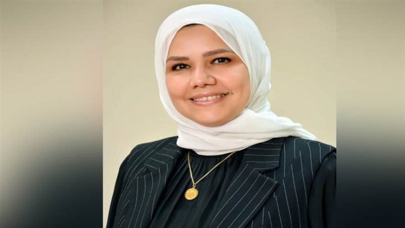 رئيس مصلحة الضرائب