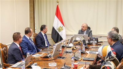 وزير قطاع الأعمال و