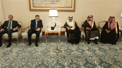 الفريق أسامة ربيع يلتقي الأمين العام للمنظمة البحرية الدولية IMO