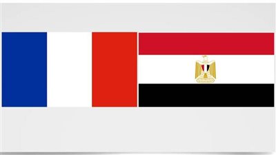 المؤرخ المصري أحمد يوسف لـ/أ ش أ/: ترابط تاريخي بين مصر وفرنسا على مر العصور
