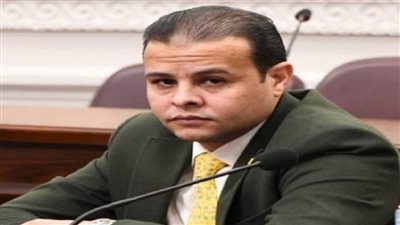 صناعة النواب: توجيهات الرئيس بإنشاء إدارة محترفة 