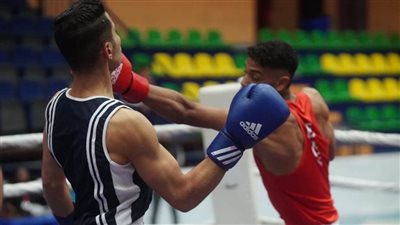 بعد أحداث بورسعيد.. قرارات سريعة من مجلس الملاكمة واللوزي سنظل أسرة واحدة 