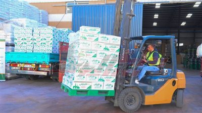 تجهيز كراتين رمضان 2025 استعدادًا لتوزيعها قبل حلول الشهر المعظم