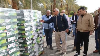 الوادي الجديد تواصل دعمها للأشقاء في غزة.. المحافظ يتابع تجهيزات قوافل المساعدات