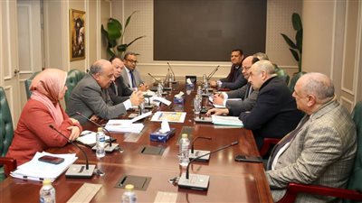 وزيرا الكهرباء  وقطاع الأعمال العام يبحثان التعاون في مجال الطاقة المتجددة