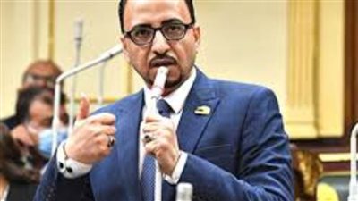 خارجية النواب: استضافة مصر لقمة عربية طارئة بانطلاقة حقيقية لإعمار غزة