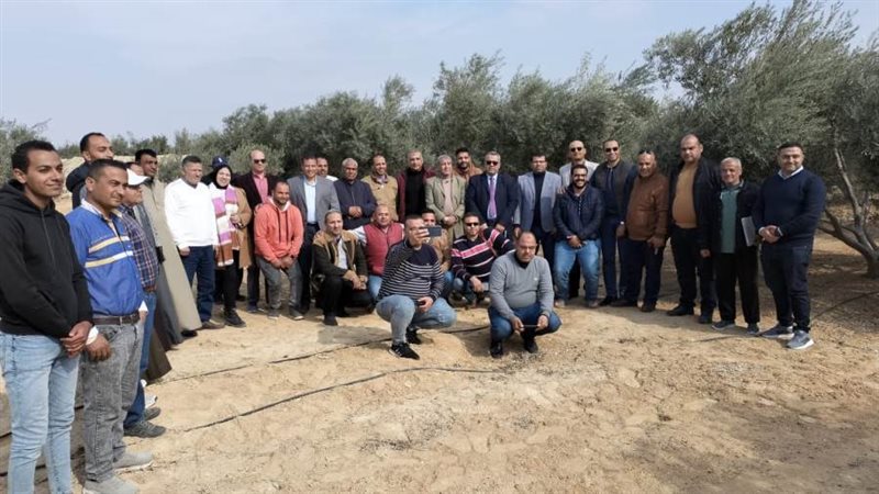 المجلس النوعي للزيتون