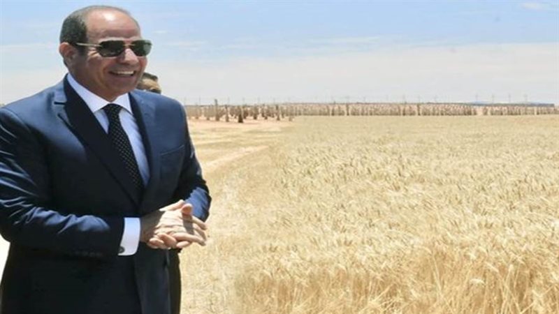 الرئيس عبدالفتاح