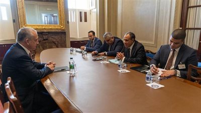 وزير الخارجية يلتقي بالنائب 