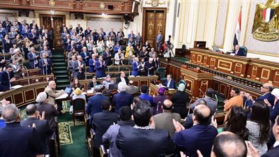 وكيل تشريعية النواب: الدولة تطبق الاستراتيجية الوطنية لحقوق الإنسان وتلتزم بالرعاية الصحية والغذائية للحامل 