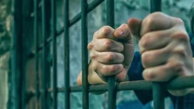 المشدد 6 سنوات لسائقين لاتجارهما بالمواد المخدرة فى طوخ