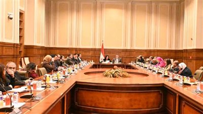 أمين سر حقوق الإنسان بالبرلمان: «التضامن»تقوم بجهود كبيرة لدعم الأسر الأكثر احتياجا