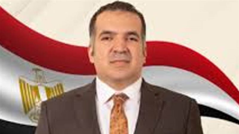 النائب محمود سعد