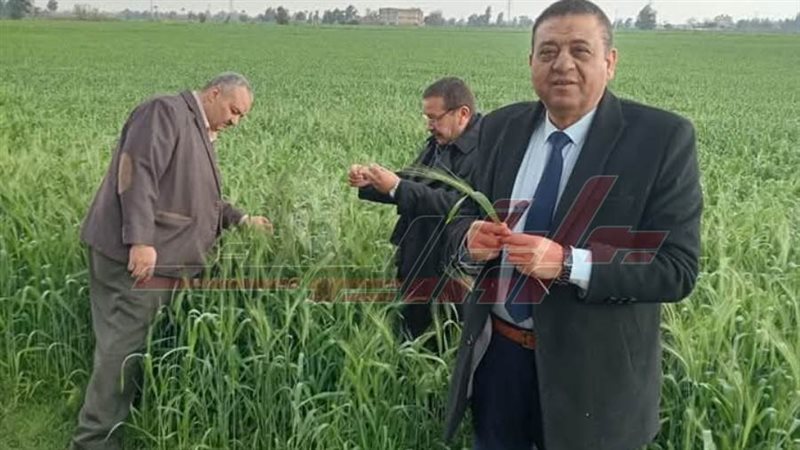 المهندس محمد التركاوي