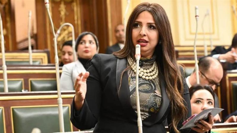 النائبة نشوى الشريف