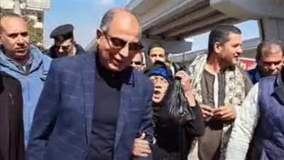 لحل مشكلتها.. عجوز تستقبل محافظ المنيا بالزغاريد خلال جولة تفقدية بملوي