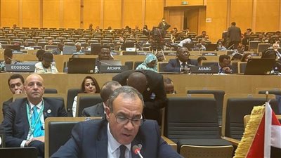 وزير الخارجية يلقي كلمة مصر في اجتماع المجلس التنفيذي للاتحاد الإفريقي