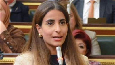 خارجية النواب: التنسيق المصري الأردني يعكس وحدة الصف العربي بشأن غزة