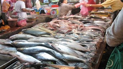 أسعار السمك اليوم الخميس بسوق العبور
