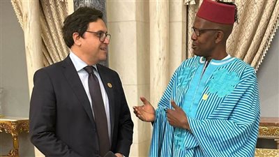 وزير الثقافة يلتقي نظيره المالي لبحث آليات التعاون الثقافية المشتركة 