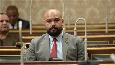 برلماني: الشعب المصري يقف خلف الرئيس لرفض التهجير وحماية الأمن القومى المصري