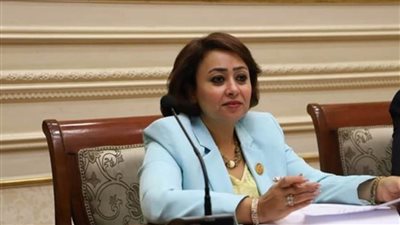 حقوق الإنسان بالشيوخ: مصر ستحبط أي محاولات خبيثة لفرض التهجير القسري للفلسطينيين