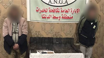 ضبط عدد من العناصر الإجرامية بالغربية لقيامهم بجلب المخدرات