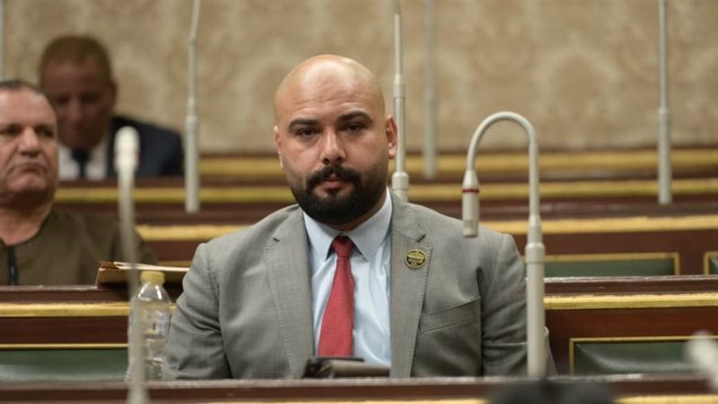 النائب إبراهيم الديب