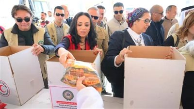 أمل عمار تشارك ضمن وفد وزاري وعربي رفيع المستوى في زيارة لشمال سيناء