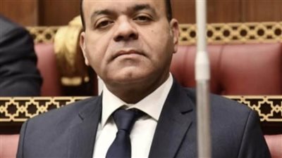 النائب عمرو القماطي: المبادرة المصرية لإعادة إعمار غزة تُفشل مخطط تهجير الفلسطينيين