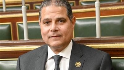 قيم النواب: صلابة الموقف المصري واصطفاف الدول العربية يجهضان مخطط تهجير الفلسطينيين