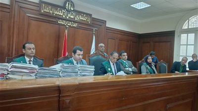 حجز دعوى طبيبة كفر الدوار وسام شعيب لجلسة 27 أبريل للنطق بالحكم