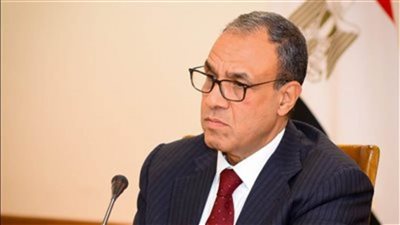 وزير الخارجية يستعرض جهود مصر لبلورة تصور متكامل للتعافي المبكر وإعادة إعمار غزة