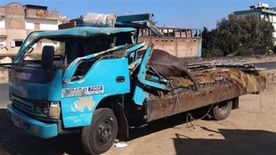 بحادث تصادم مروع بين سيارتى نقل ثقيل وجامبو.. مصرع شخص واصابة 7 آخرين ونفوق ماشية