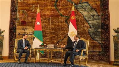 الأردن يؤكد دعمه للجهود المصرية لوضع خطة لإعادة إعمار قطاع غزة مع بقاء الفلسطينيين على أرضهم