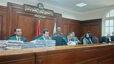 طبيبة كفر الدوار وسام شعيب: لم يتم معاملتي كأي متهمة عادية تعرضت للإهانة والظلم  