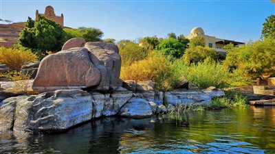  أسوان تستضيف فعاليات المؤتمر الدولي 