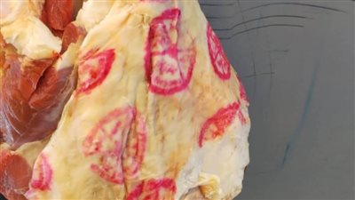 الرقابة البيطرية بأسوان تضبط 1282 لحوما واسماك مجهولة المصدر خلال حملة على الأسواق 