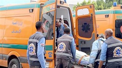 مصنع لحوم وروائح كريهة.. تفاصيل إصابة 25 طالبا ومعلمتين داخل مدرسة بالشرقية 