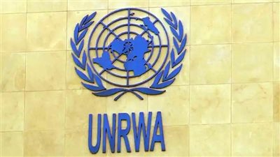 الأونروا والأمم المتحدة تؤكدان دور مصر لاستدامة وقف إطلاق النار بغزة