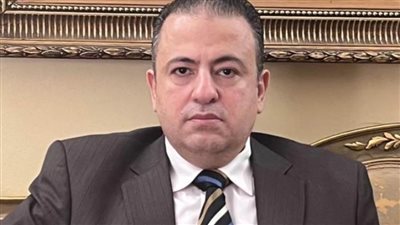 خارجية «حماة الوطن»: الجهود المصرية لاستكمال الهدنة تعكس دورها المحوري في حل الأزمة