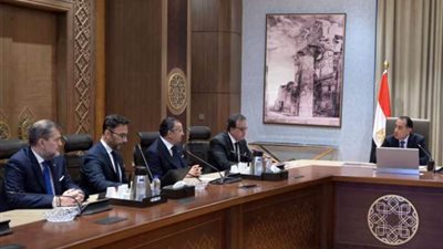 مدبولي يلتقي رئيس مجموعة مستشفيات 