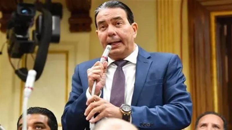 النائب أيمن أبو العلا